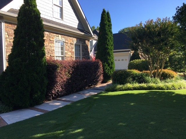 Front yard with clean lawn and landscape borders