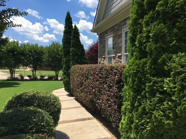 Front yard landscape maintained by KEEN